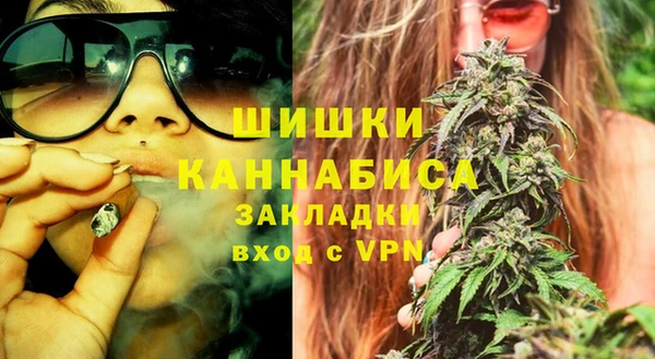 сатива Губаха