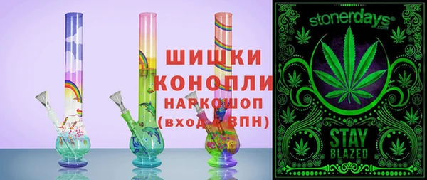 крисы Гатчина