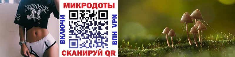 Псилоцибиновые грибы Cubensis  Купить закладки  Дрезна 